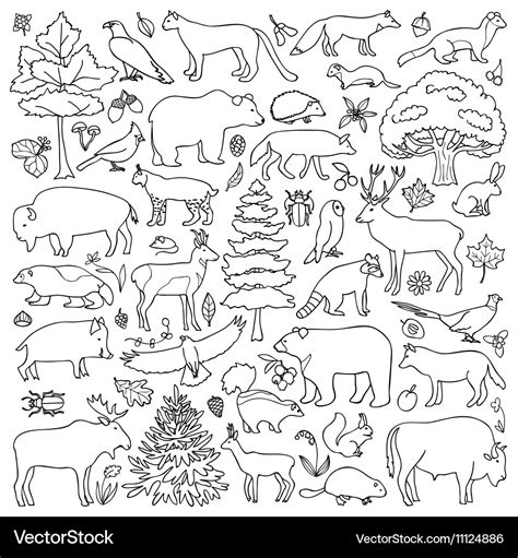 Forest Animal Coloring Pages Doodle Art Alley Forest Animal Coloring Pages - Forest Animal Coloring Pages