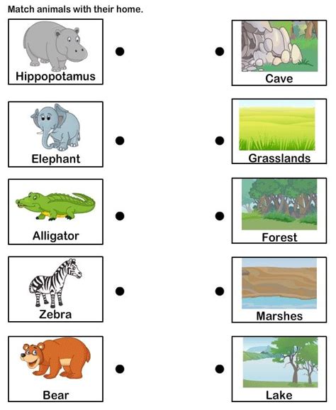 Forest Animal Habitat Matching Match Animals To Their Habitats - Match Animals To Their Habitats