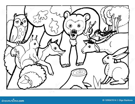 Forest Animals Coloring Pages Getcolorings Com Forest Animal Coloring Sheets - Forest Animal Coloring Sheets