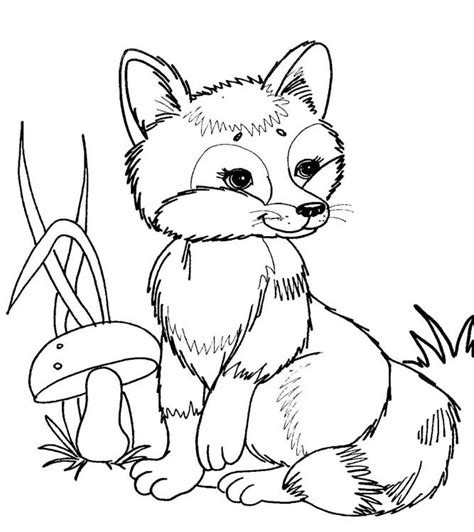Forest Animals Coloring Pages Images Free Download On Forest Animal Coloring Pages - Forest Animal Coloring Pages