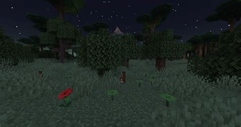 Forest At Twilight