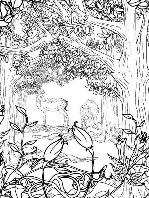 Forest Coloring Pages 100 Free Printables I Heart Forest Coloring Pages For Adults - Forest Coloring Pages For Adults