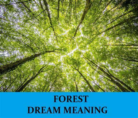 forest dream