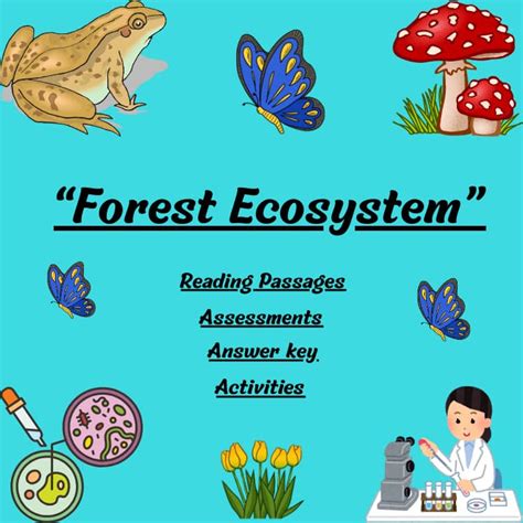 Forest Ecosystem Explore Learning Answers