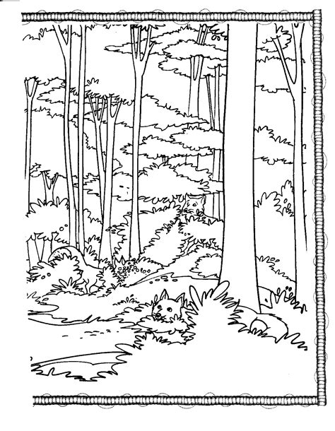 Forest Habitat Coloring Pages   Forest Habitat Coloring Pages Coloring Pages - Forest Habitat Coloring Pages