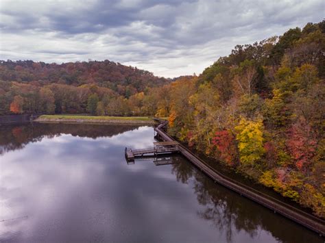 forest ohio