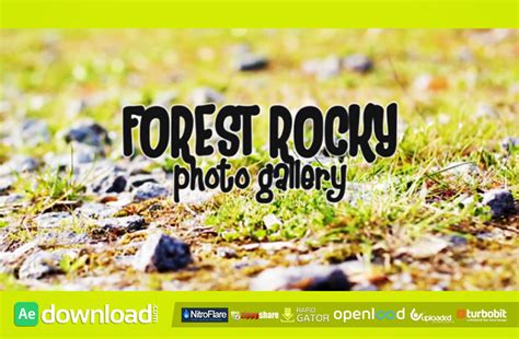 forest rocky photo gallery videohive s