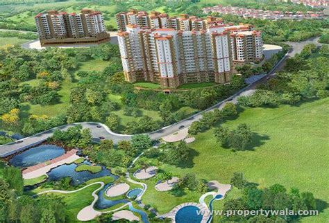 Forest Trails Bhugaon