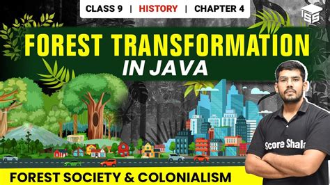 Forest Transformation In Java