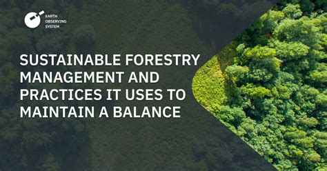 Read Online Forest Management And Biodiversity Conservation Based On 