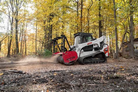 forestry ohio
