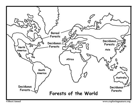 Forests Of The World Coloring Page Forest Habitat Coloring Pages - Forest Habitat Coloring Pages