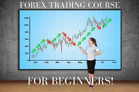 This guide helps users to find the best offshore trading 