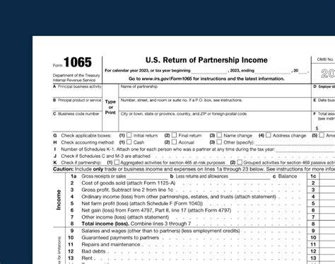 form 1065 in excel