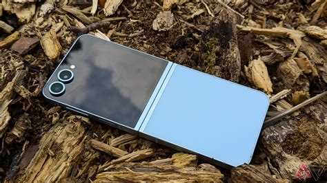 Form Z Review