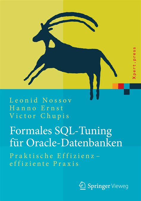 Formales Sql Tuning Fa R Oracle Datenbanken Prakt