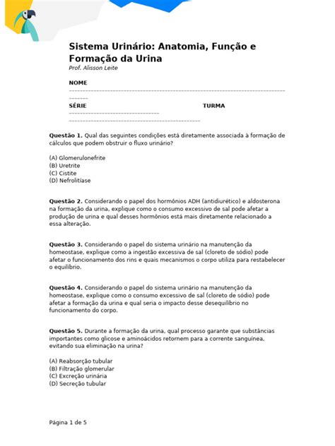 Formação Da Urina