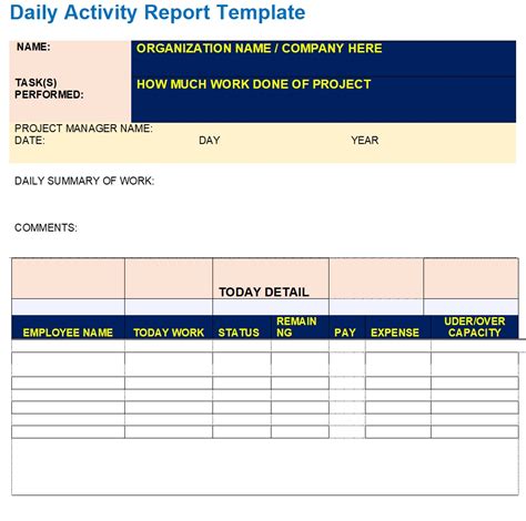 format for daily activity report