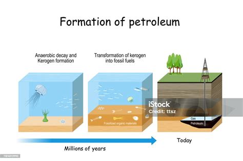 Formation Of Petroleum