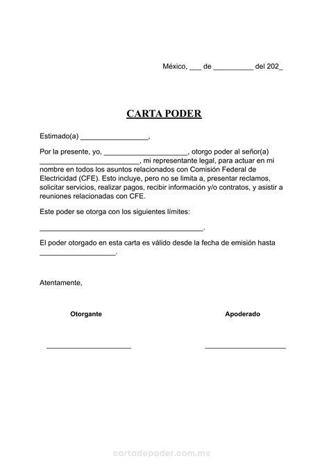 Formato De Carta Poder Para Imprimir
