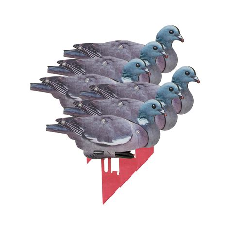 Forme Pigeon Fud 3d    - Forme Pigeon Fud 3d