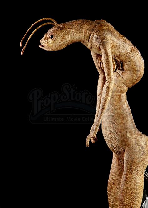 Formiguinha Do Mib
