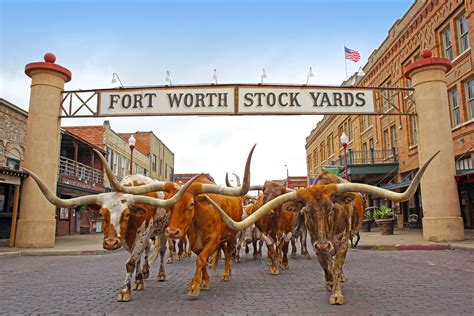 forth word texas