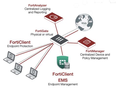 forticlient vpn griffith