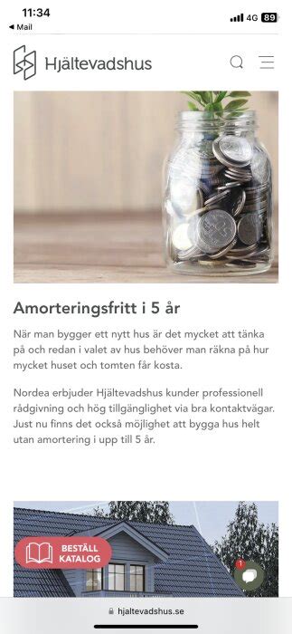 fortsatt amorteringsfritt