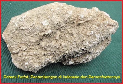 fosfat adalah | Cch pht m fungsi trong Indonesia Babla