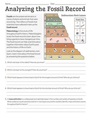 Fossil Record Worksheet