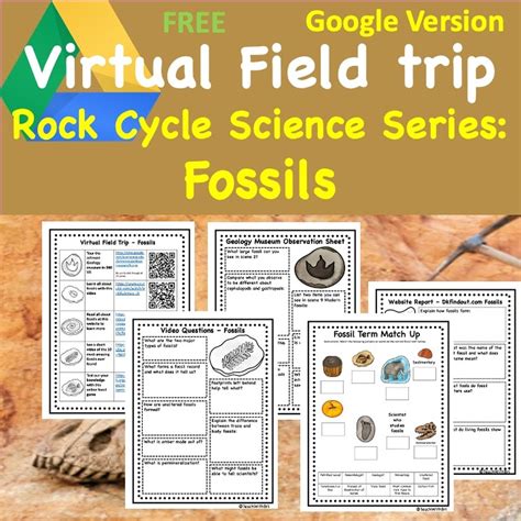 Fossil Rock A Virtual Class For Girl Scouts Fossil Activities For 3rd Grade - Fossil Activities For 3rd Grade