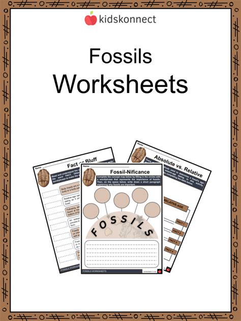Fossil Worksheet Fifth Grade Resource Twinkl Usa 6th Grade Fossil Worksheet - 6th Grade Fossil Worksheet