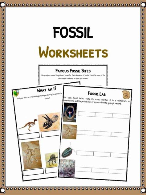 Fossil Worksheet For Kids Dig It 1 Worksheets Identifying Fossils Worksheet - Identifying Fossils Worksheet