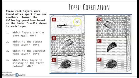 Download Fossil Correlation Lab Answers 