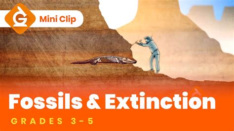 Fossils Amp Extinction Video For Kids 3rd 4th Fossil Activities For 3rd Grade - Fossil Activities For 3rd Grade