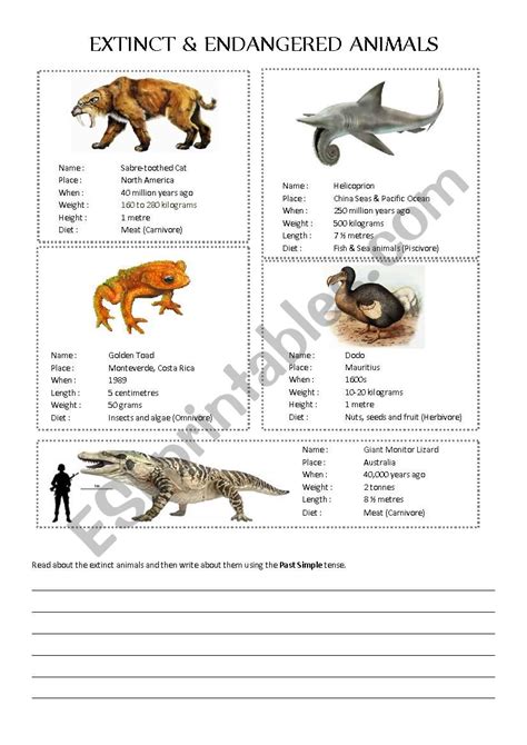 Fossils And Extinct Animals Science Worksheets And Study Animal Instincts Worksheet 4th Grade - Animal Instincts Worksheet 4th Grade
