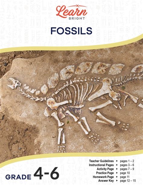 Fossils Free Pdf Download Learn Bright 6th Grade Fossil Worksheet - 6th Grade Fossil Worksheet