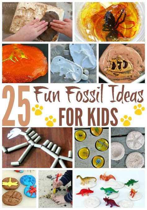 Fossils On The Walls Activity Fossil Activities For 3rd Grade - Fossil Activities For 3rd Grade