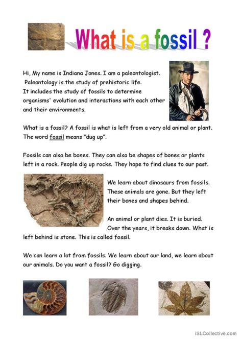 Fossils Reading Comprehension Worksheet Edhelper Fossil Worksheet 3rd Grade - Fossil Worksheet 3rd Grade