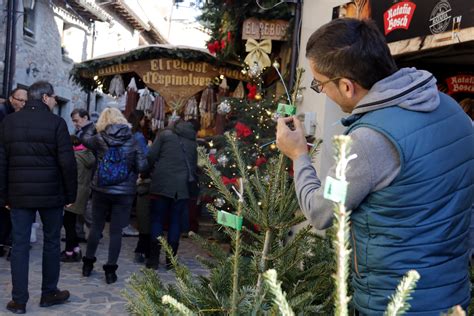 Fotos de la Feria del Abeto de Espinelves: Una celebración navideña mágica