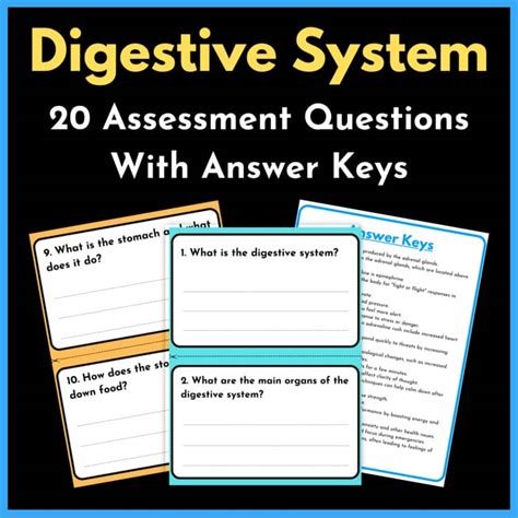 Foundation Assessment Digestive System