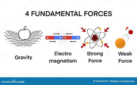 four main forces