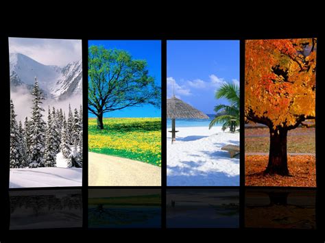 Four Seasons Photoxels Picture Of The 4 Seasons - Picture Of The 4 Seasons