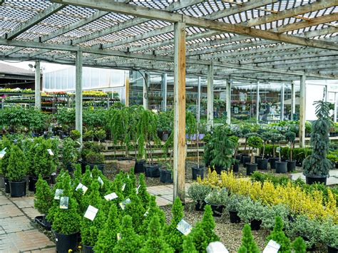 four-seasons-garden-center-hernando- - Yahoo Local Search Results