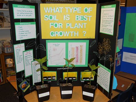 Fourth Grade Environmental Science Science Experiments Science Buddies 4th Grade Science Ecosystem - 4th Grade Science Ecosystem