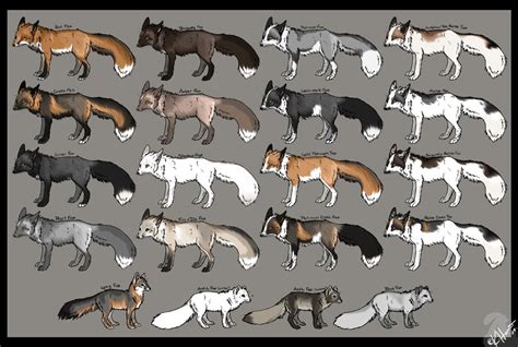 fox colors