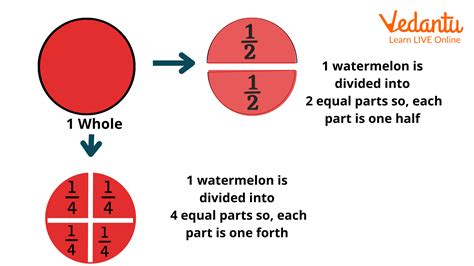 Fraction Halves Third And Fourth Learn Definition Vedantu Fourths Fractions - Fourths Fractions
