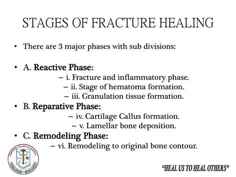 Fracture Healing Ppt