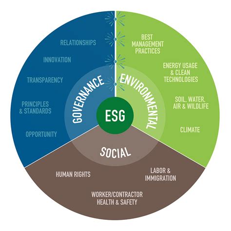 framework for social welfare standards development